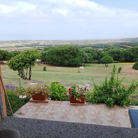 Gli Olivastri Con Piscina,Solarium, Vista Mare ,Sole -Mare E Tanta Natura ,Climatizzatore,Wifi Альєнту Екстер'єр фото