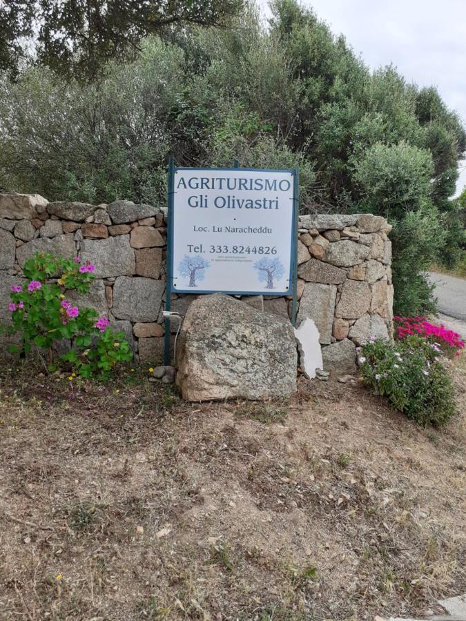 Gli Olivastri Con Piscina,Solarium, Vista Mare ,Sole -Mare E Tanta Natura ,Climatizzatore,Wifi Альєнту Екстер'єр фото