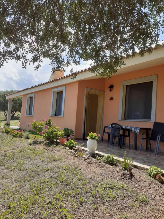Gli Olivastri Con Piscina,Solarium, Vista Mare ,Sole -Mare E Tanta Natura ,Climatizzatore,Wifi Альєнту Екстер'єр фото