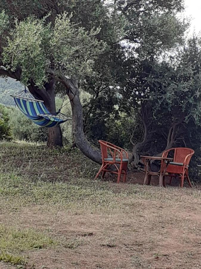 Gli Olivastri Con Piscina,Solarium, Vista Mare ,Sole -Mare E Tanta Natura ,Climatizzatore,Wifi Альєнту Екстер'єр фото