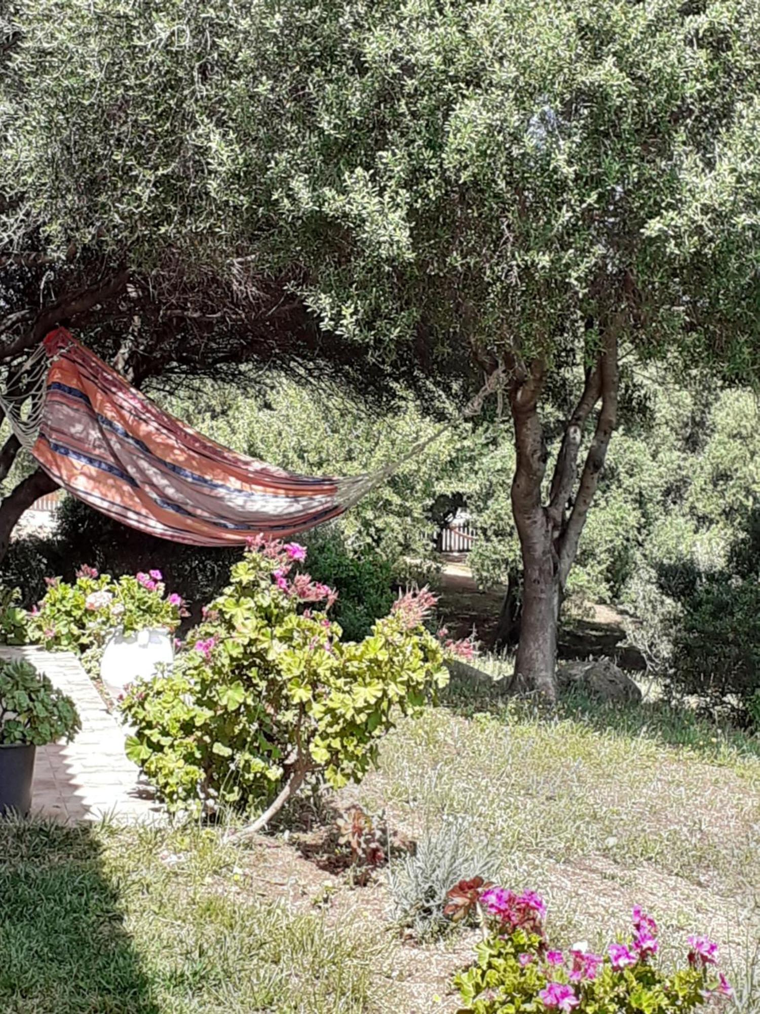 Gli Olivastri Con Piscina,Solarium, Vista Mare ,Sole -Mare E Tanta Natura ,Climatizzatore,Wifi Альєнту Екстер'єр фото