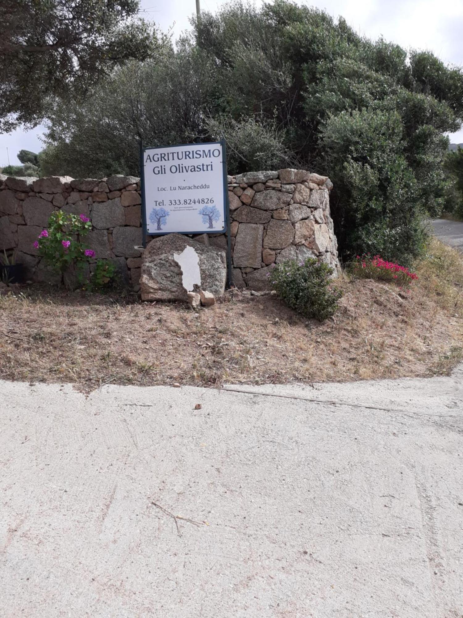 Gli Olivastri Con Piscina,Solarium, Vista Mare ,Sole -Mare E Tanta Natura ,Climatizzatore,Wifi Альєнту Екстер'єр фото