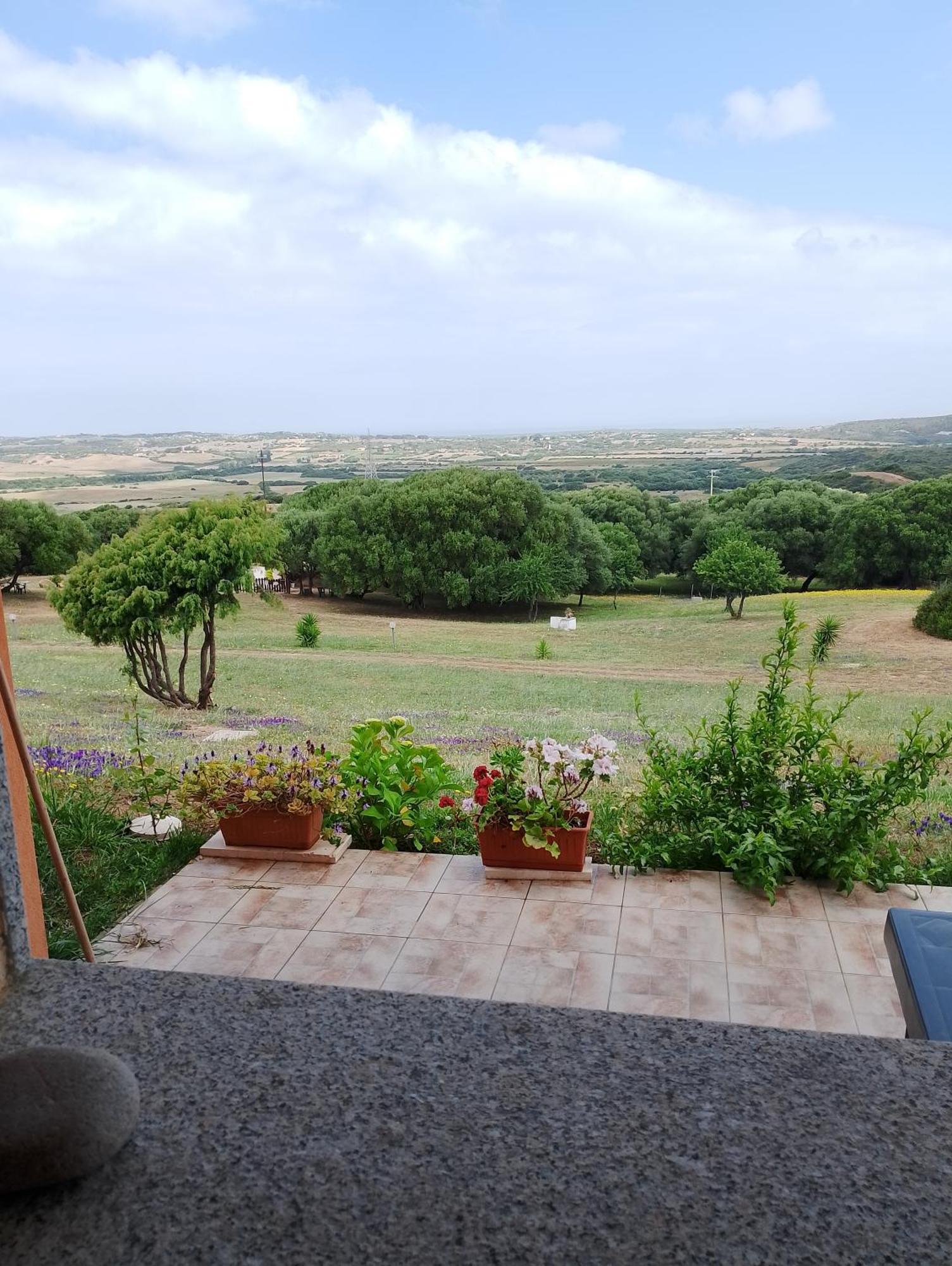 Gli Olivastri Con Piscina,Solarium, Vista Mare ,Sole -Mare E Tanta Natura ,Climatizzatore,Wifi Альєнту Екстер'єр фото