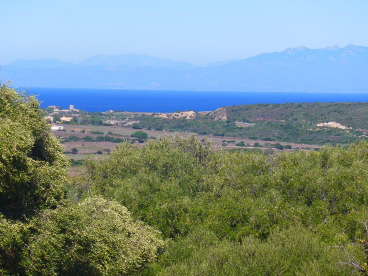 Gli Olivastri Con Piscina,Solarium, Vista Mare ,Sole -Mare E Tanta Natura ,Climatizzatore,Wifi Альєнту Екстер'єр фото