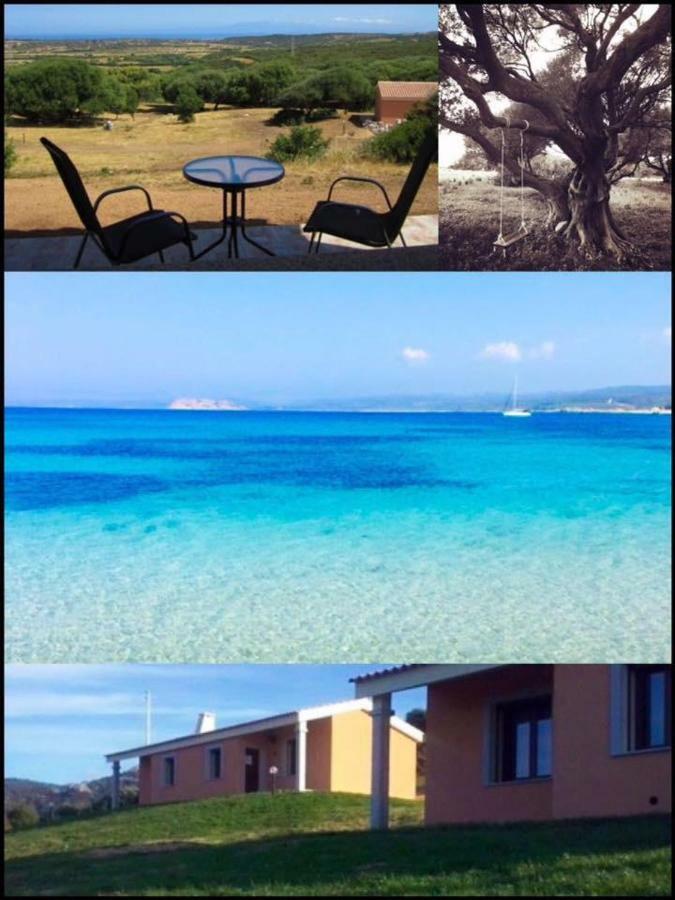 Gli Olivastri Con Piscina,Solarium, Vista Mare ,Sole -Mare E Tanta Natura ,Climatizzatore,Wifi Альєнту Екстер'єр фото